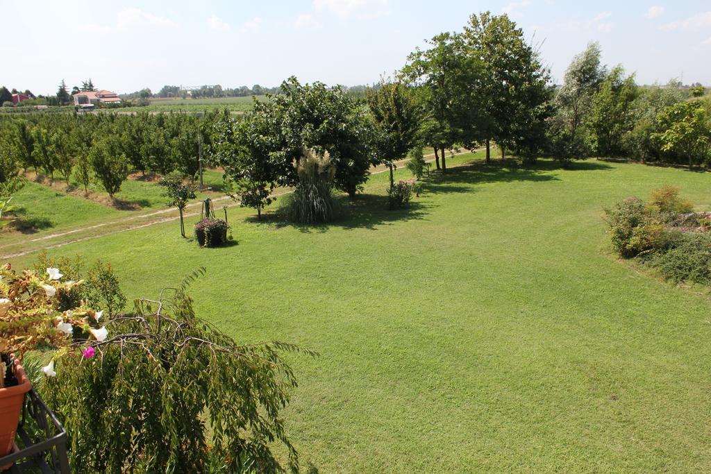 Agriturismo Corte Carezzabella San Martino di Venezze エクステリア 写真