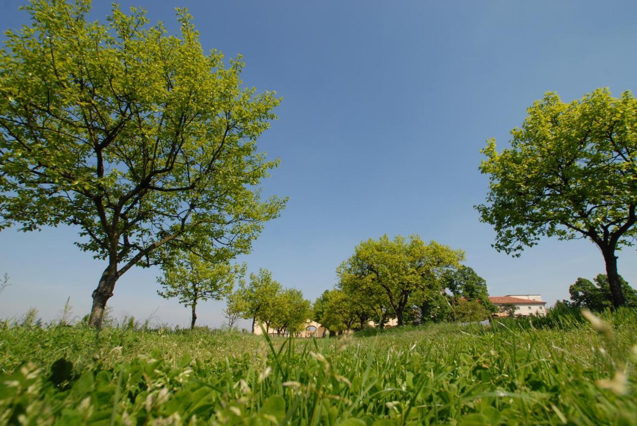 Agriturismo Corte Carezzabella San Martino di Venezze エクステリア 写真